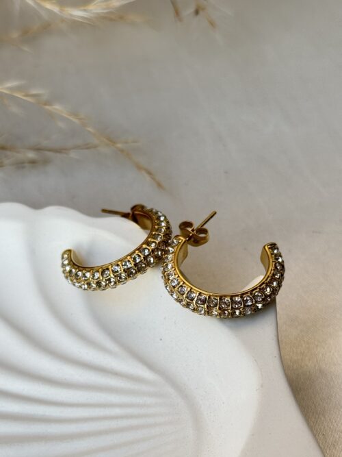 Crystal Studded Hoop Earring