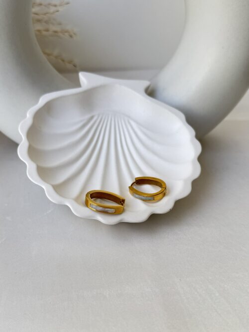 Sleek Shine Hoops Earrings