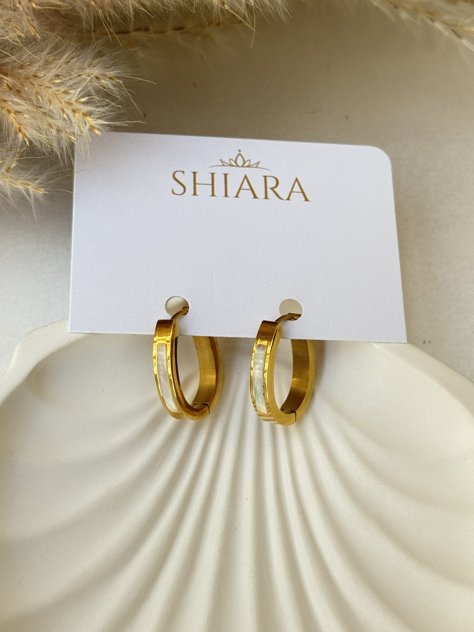 Sleek Shine Hoops Earrings